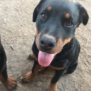 Meet your Posher, Alma